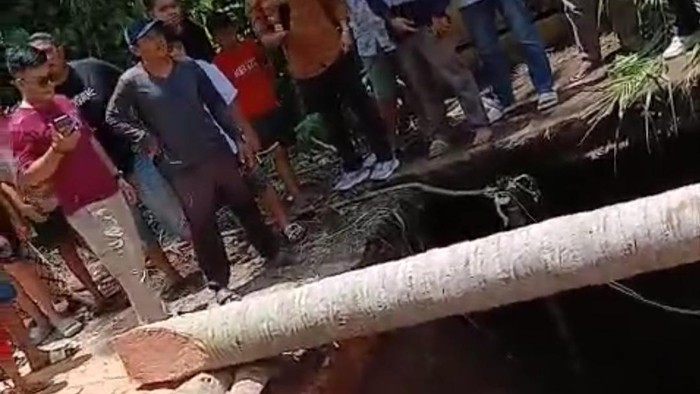 penampakan-jalan-amblas-di-jalan-padang-lamo-desa-teluk-kayu-putih-tebo-1741162011157_169