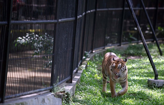 9e02f79f72eca3ca589ae757d97a7173