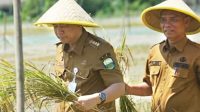 Bupati BBS Panen Raya Perdana di Desa Pudak, Mendorong Percepatan Swasembada Pangan(foto: dok.ist)