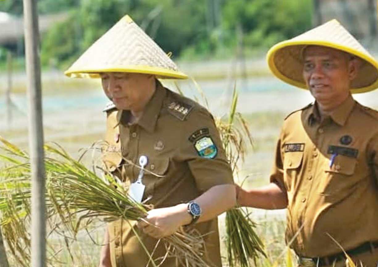 Bupati BBS Panen Raya Perdana di Desa Pudak, Mendorong Percepatan Swasembada Pangan(foto: dok.ist)