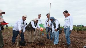 Foto : PT SAS dan Manajemen Melakukan penanaman pohon dan Rehabilitasi Hutan Gambut Jambi (dok Ist)