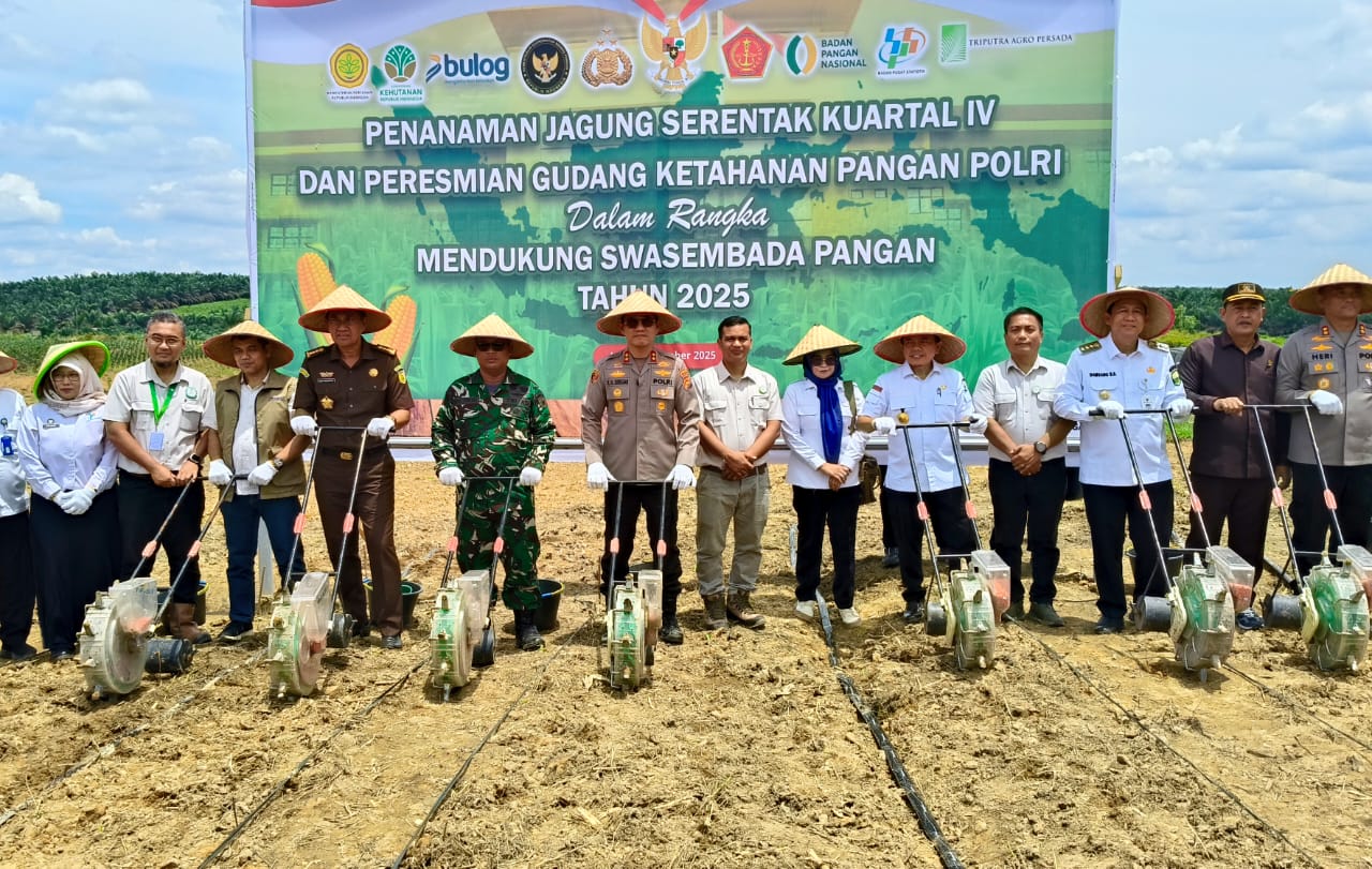 Gubernur Al Haris dan Kapolda Jambi Tanam Jagung Serentak Wujudkan Swasembada Pangan(foto: dok.ist)